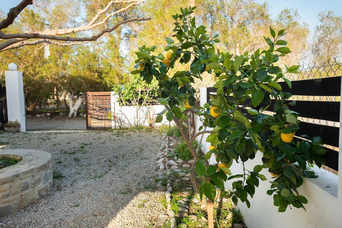 Afrathias Beachhouse - Cretan Hideaway كالاماكي المظهر الخارجي الصورة